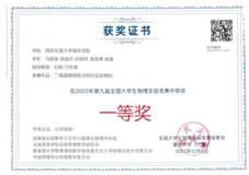 2023一等奖-石鲸 竹有章
